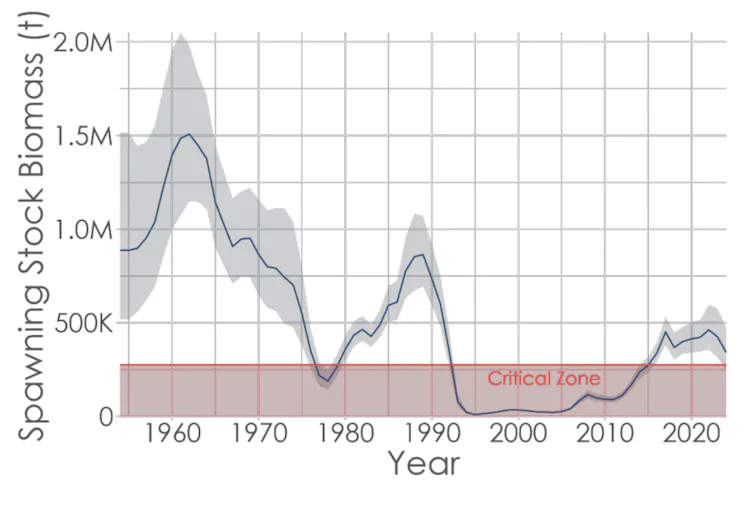 A line graph showing the decrease in cod fish stocks over the years from 1954 to 2023