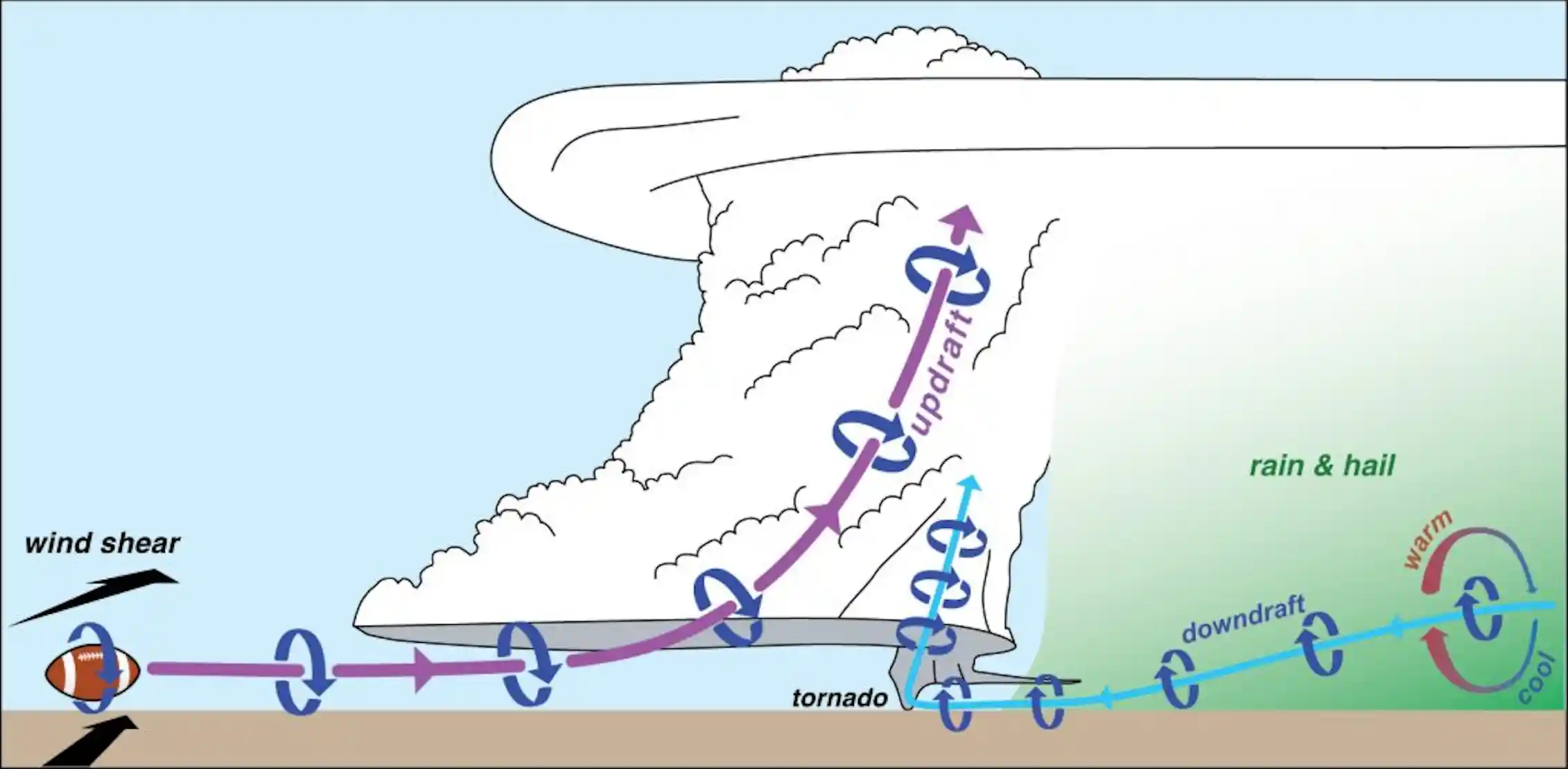 What Do Storm Chasers Really Do FlaglerLive what-do-storm-chasers-really-do-flaglerlive