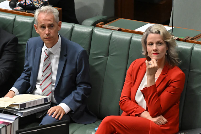 Immigration Minister Andrew Giles and Home Affairs Minister Clare O'Neil in the House of Representatives.