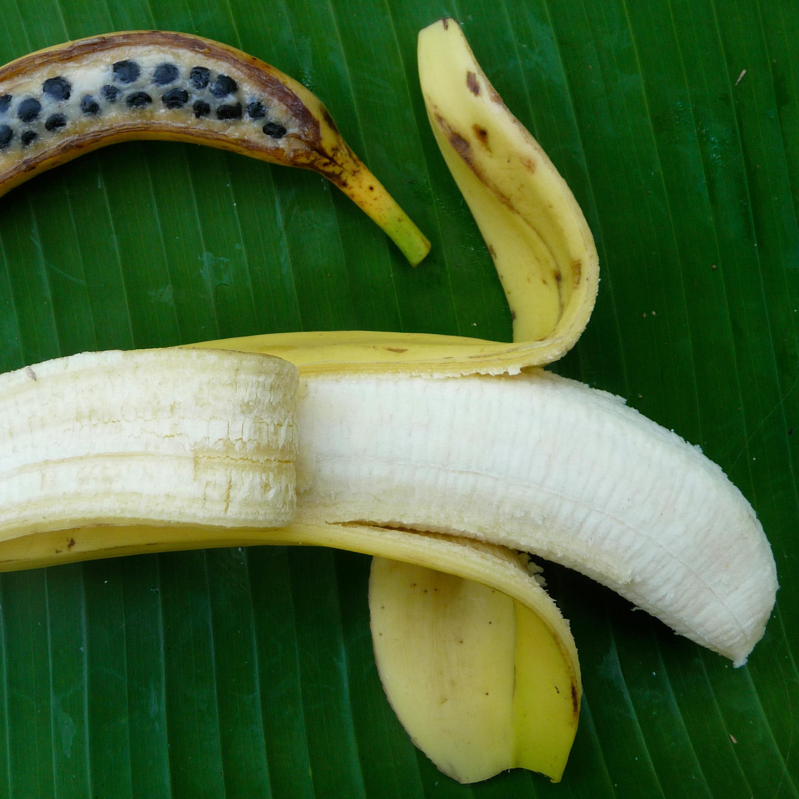 Bananes