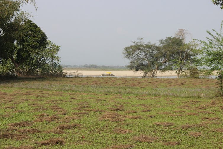 Fields cover a river bank during the dry season.