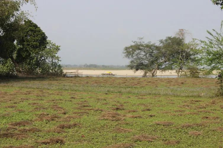 Fields cover a river bank during the dry season.
