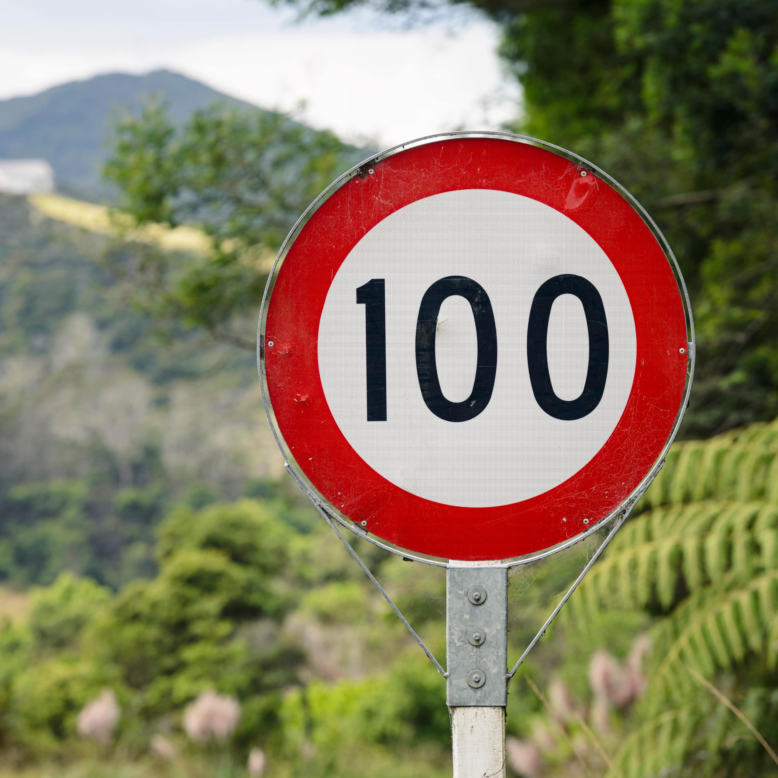 A 100 Km/hour speed limit sign in rural New Zealand.