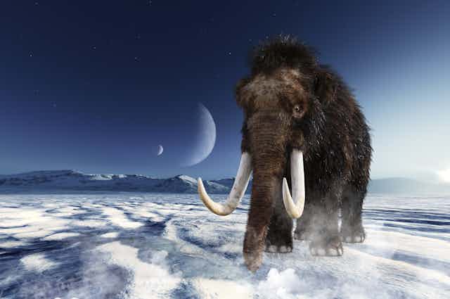 Ilustração de um mamute caminhando sobre o gelo.