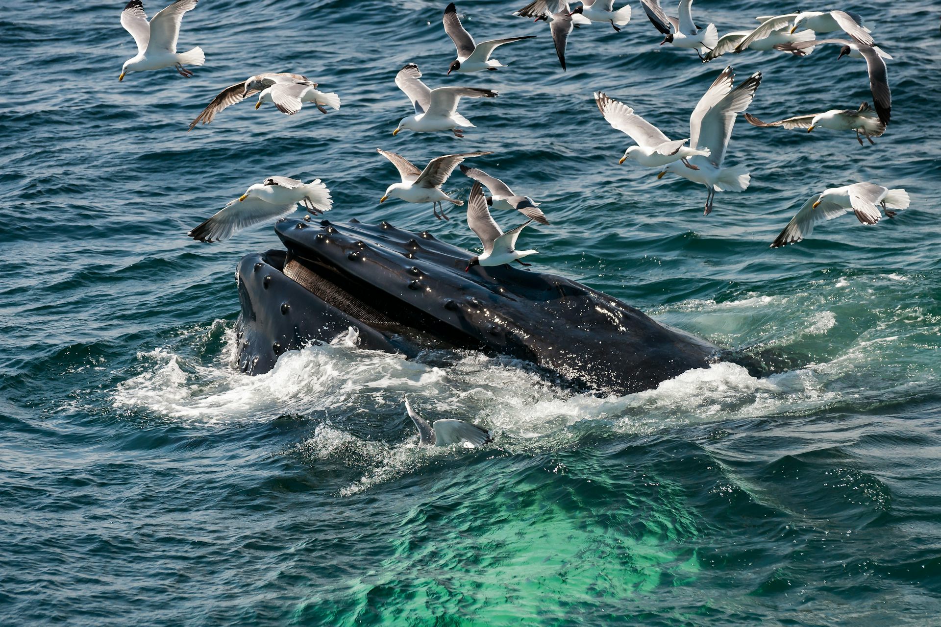 Science – The Conversation France