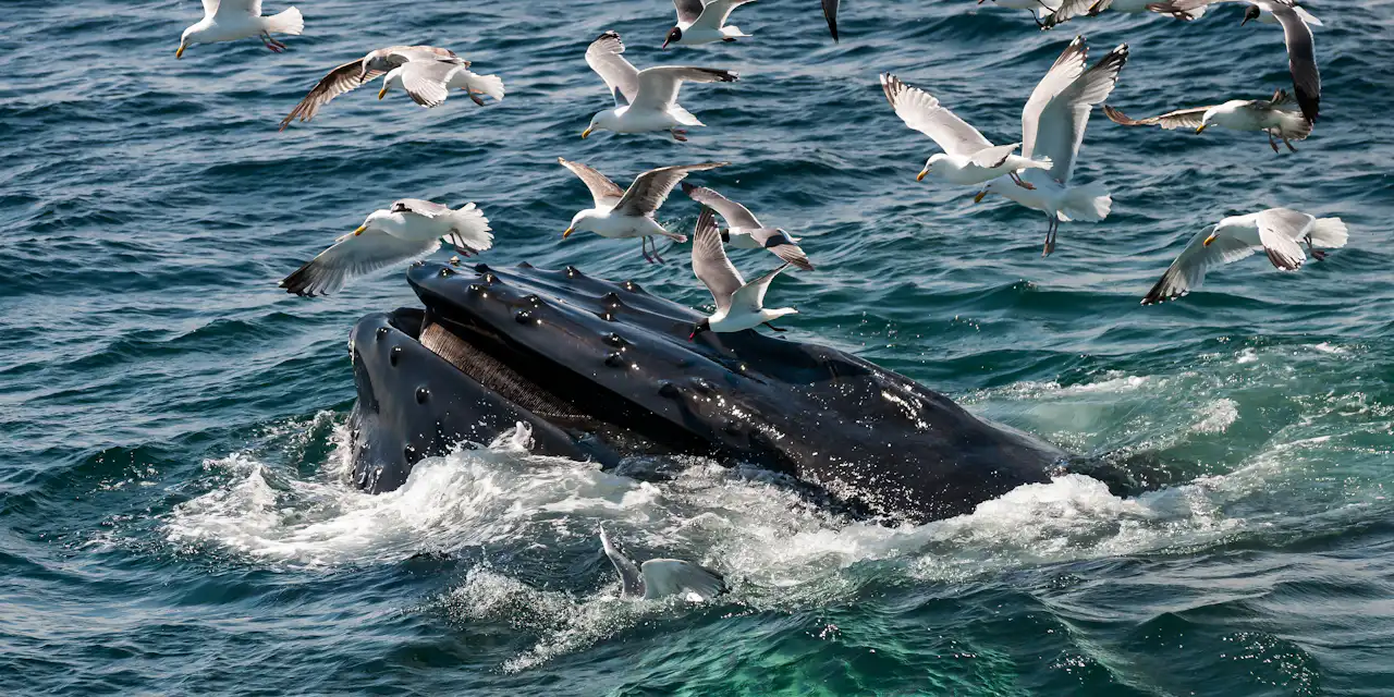 Science – The Conversation France