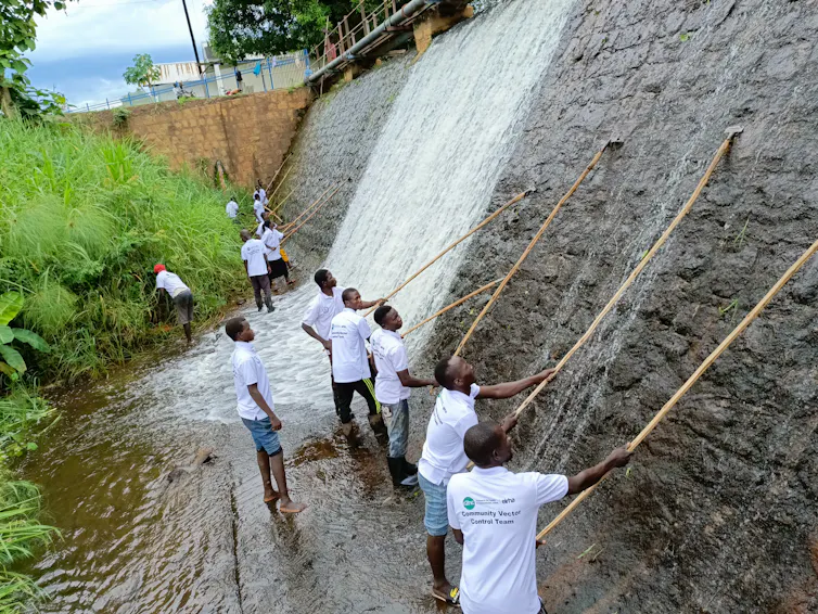 Volunteers with long sticks