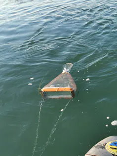 A net is shown being pulled behind a boat