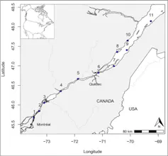 A map of a portion of Québec along the St. Lawrence River.