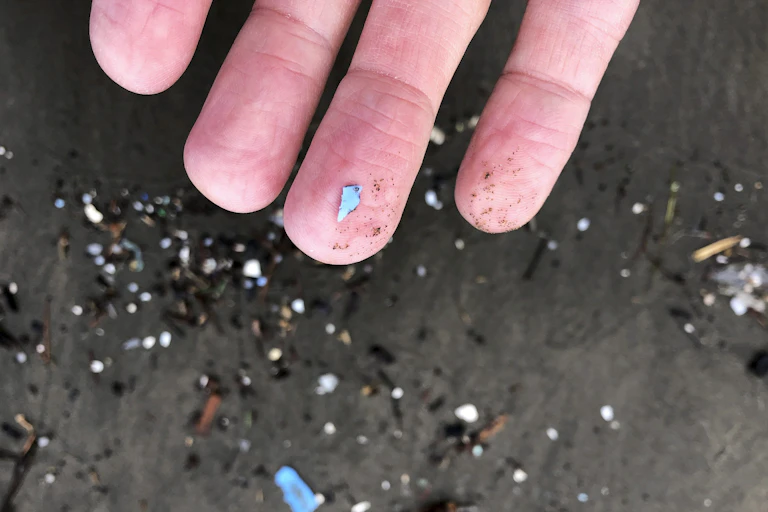 A human hand is seen on a shoreline with microplastics on the fingertips.