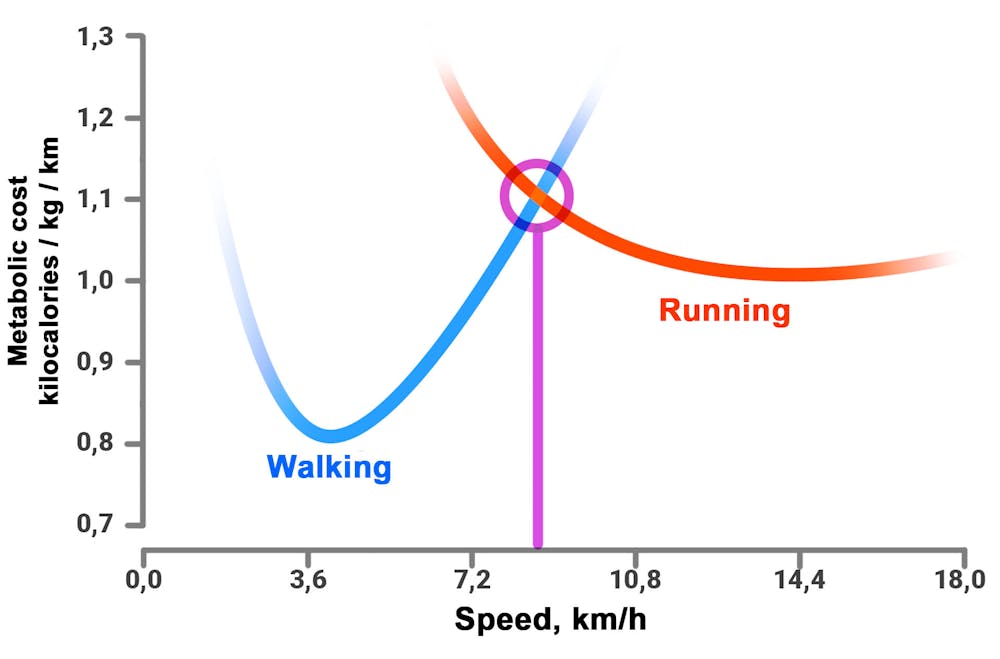 Walking vs. running: For the same distance, which consumes more energy?