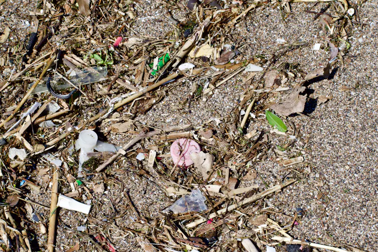 plastic rubbish on the ground with driftwood