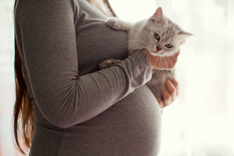 Pregnant person holding cat against belly and chest