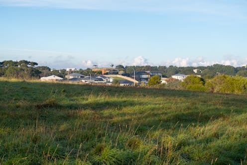 we connect with nature in neglected green spaces just as much as in parks