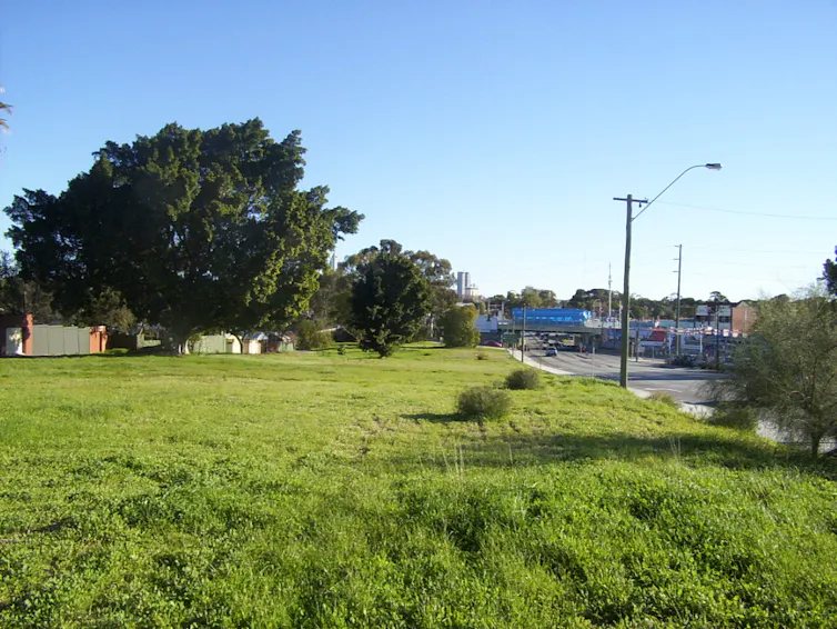 An unmown area of grass and scattered trees on a suburban streets