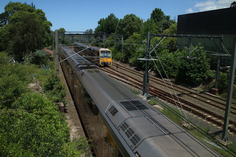 Vegetation growing both sides of railway tracks through the city
