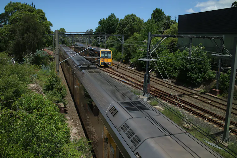 Vegetation growing both sides of railway tracks through the city