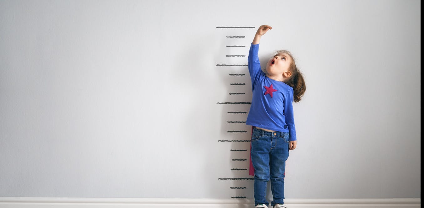 Cómo los holandeses se convirtieron en los gigantes del mundo moderno