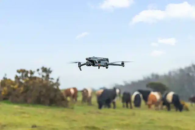 Drones In Ranching From robots and drones to sheep trackers, new tech can help farmers ...