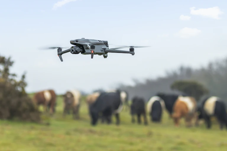 drone flying over field with cows in background