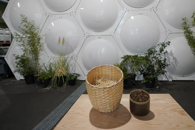 A small pot of soil and a larger basket of straw on a wood table in front of a white wall with convex circles in it