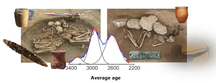 Illustration of the two waves of interbreeding between groups of Steppe and Neolithic ancestry and their respective cultures. On the left, the Neolithic collective grave at Bréviandes-les-Pointes associated with the Final Neolithic represented by a terracotta jar. On the right, the burial site at Saint-Martin-la-Garenne-les-Bretelles, with a shale wrist-guard that is associated with the Bell-Beaker culture. (Image sources: Burial site, Inrap; late Neolithic pottery, C. Gaumat/Musée Bargoin; all-over corded beaker, S. Oboukhoff/CNRS; late Neolithic dagger, Hervé Paitier/Inrap; Bell-Beaker burial site, Nicolas Girault; Bell-Beaker, Luis García. Montage by Eva-Maria Geigl.), CC BY