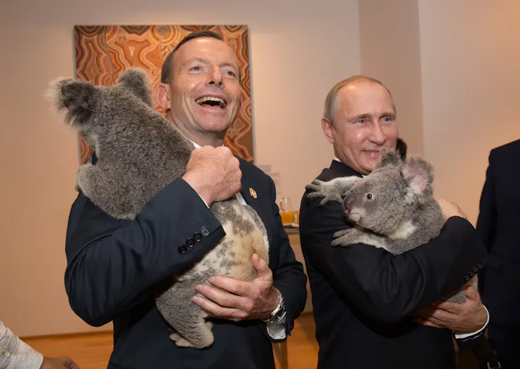 Former Prime Minister Tony Abbott and President of Russia Vladimir Putin cuddling unsettled koalas in a room