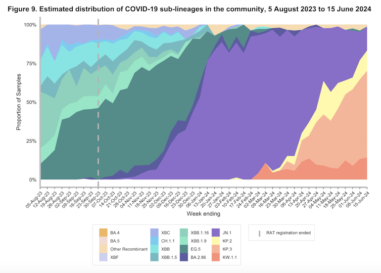 A chart showing the distribution of COVID sublineages in New South Wales up to June 15, 2024.