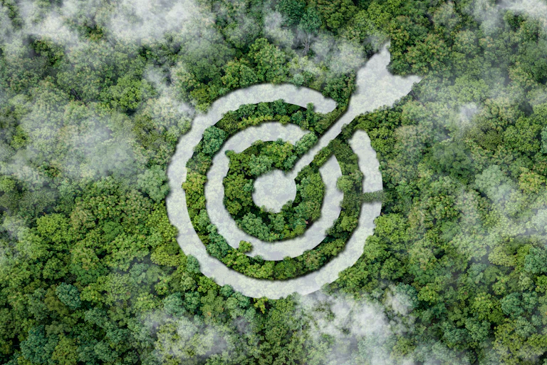 Bullseye target in trees