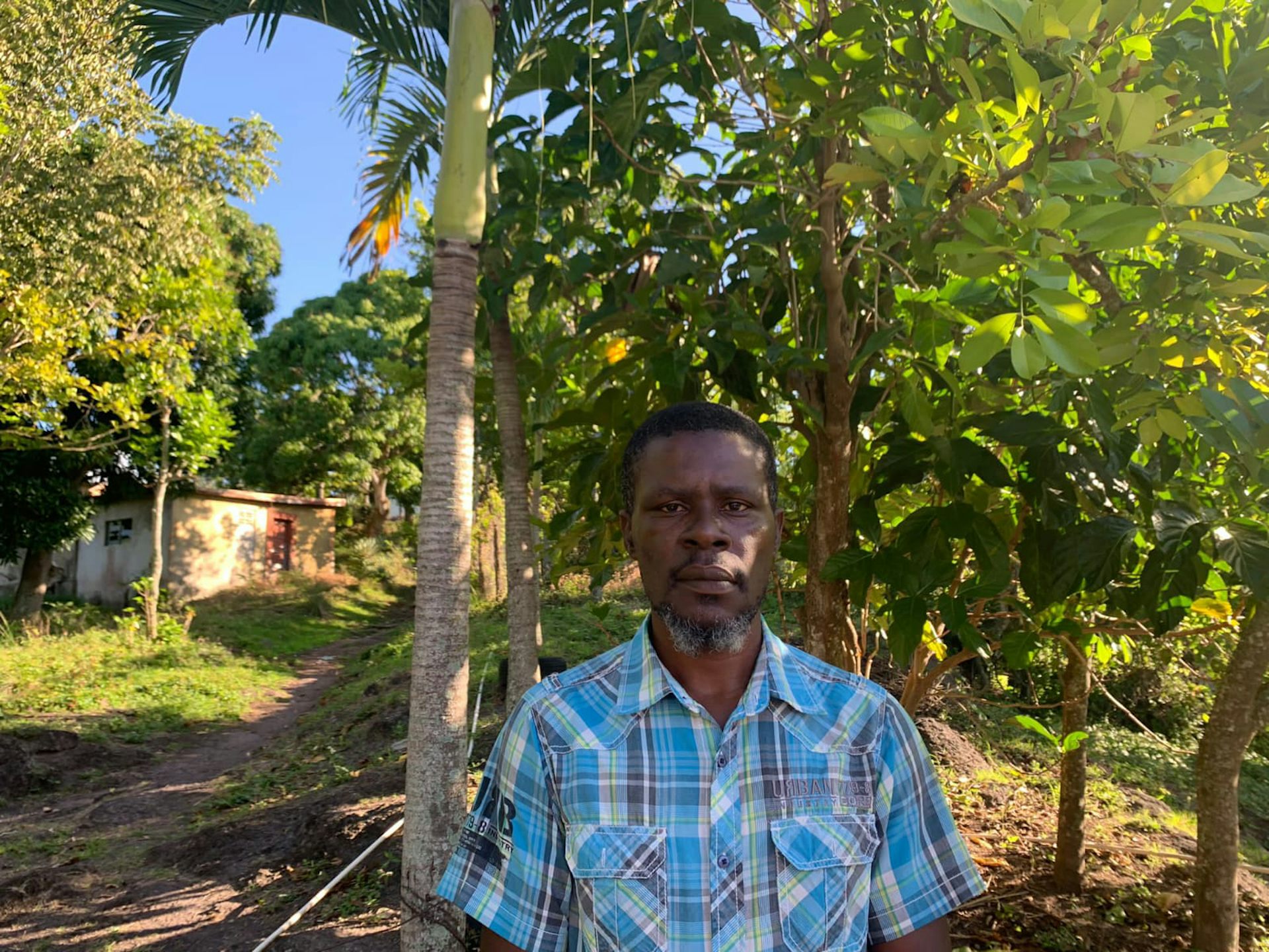 A Black man in a blue plaid shirt stands amid trees