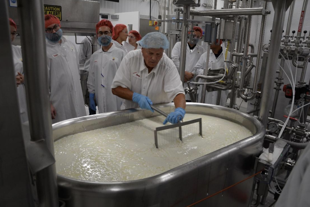 Cheesemaking is a complex science – a food chemist…