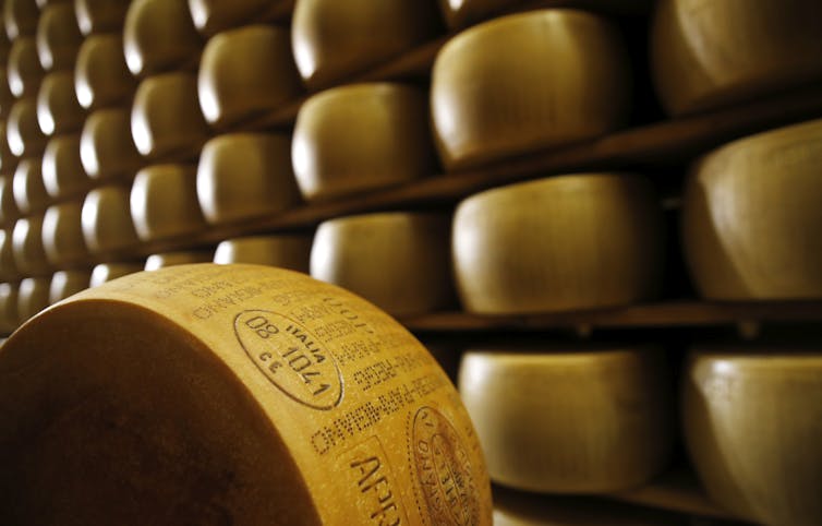 Cheesemaking is a complex science – a food chemist explains the process ...