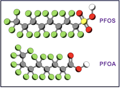 Chemical structures of two PFAS molecules