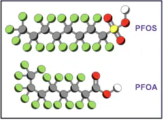 Chemical structures of two PFAS molecules