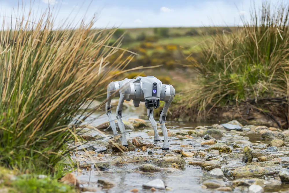 From robots and drones to sheep trackers, new tech can help farmers ...