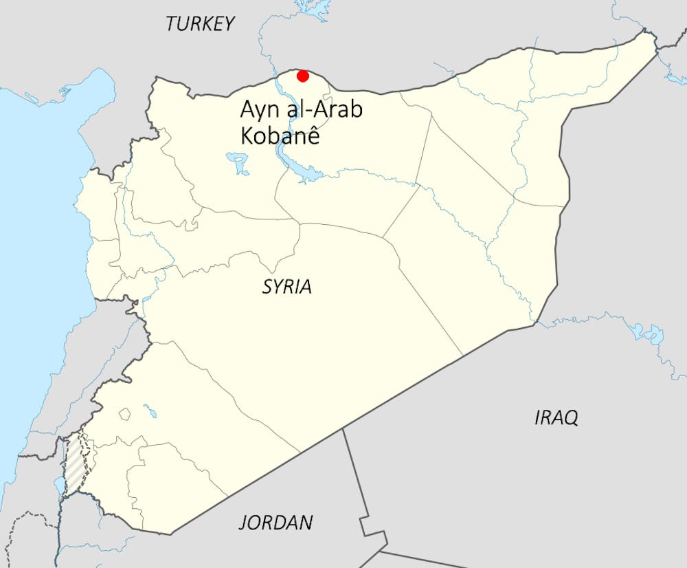 Kobanê'yi Kurtarmak: Dünyanın IŞİD'e kaptırmayı göze alamayacağı şehir
