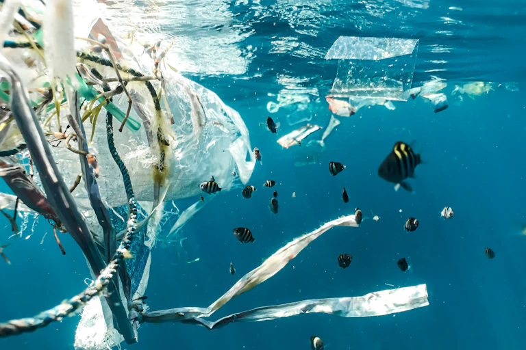 plastique qui flotte au milieu des poissons dans la mer