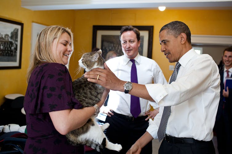 A woman holding Larry as Obama strokes him
