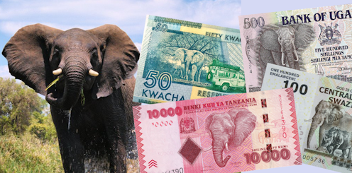 Almost 1 in 6 of the world’s banknotes feature wildlife – and they’re not always the creatures you’d expect