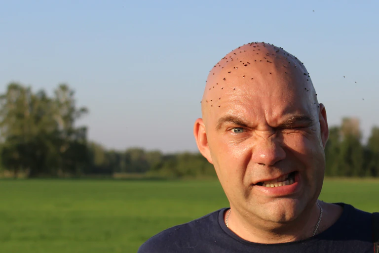 Man with frustrated expression with midges on his head