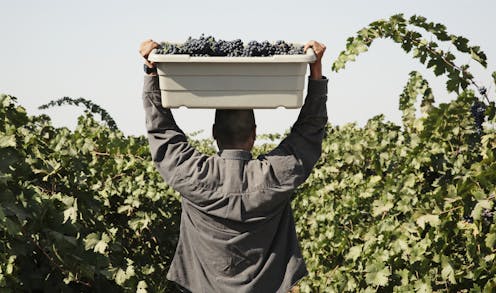Michigan’s thousands of farmworkers are unprotected, poorly paid, uncounted and often exploited