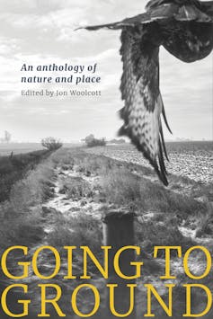Book cover, yellow words in caps at bottom Going to Ground black and white shot of bird of prey flying low over farm landscape