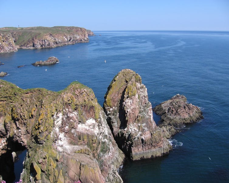 Vue des falaises écossaises sur l’île de May