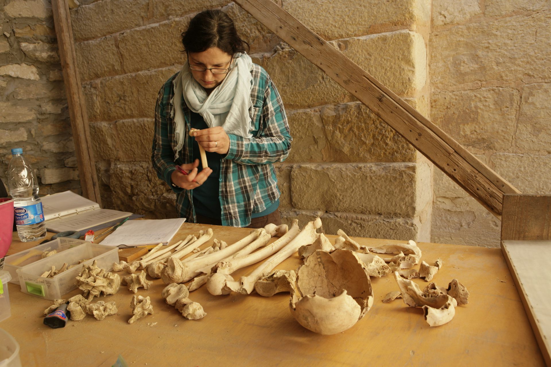 A woman carefully examines a human bone. Other bones are laid out on a table in front of her