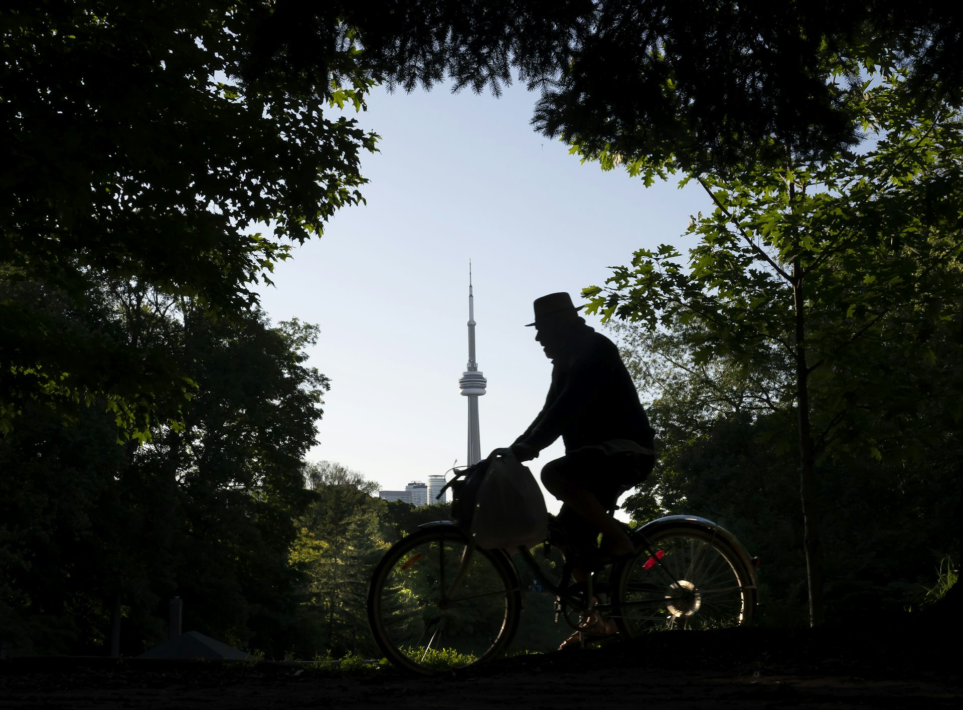 10 ways planting trees improves health in urban centres