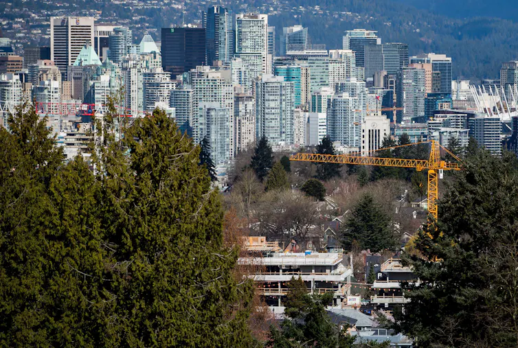 Trees in the foreground with Vancouver's downtown in the background