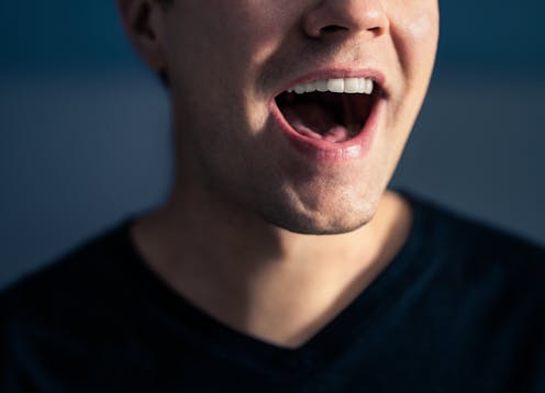 grasa Noticias, Investigaciones y Análisis The Conversation página 1