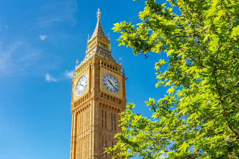 Big Ben with tree in foreground