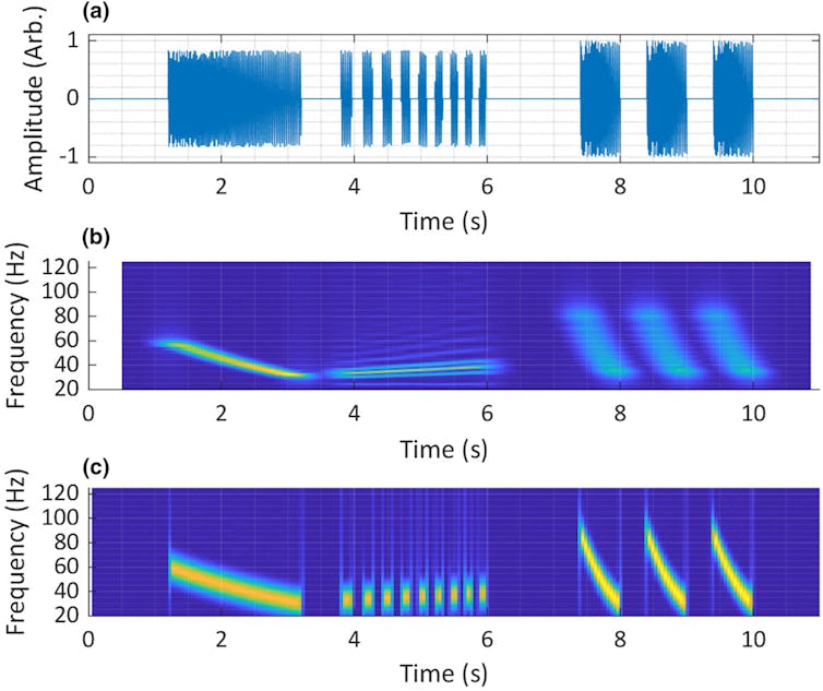 Our new tech helps find hidden details in whale, cassowary and other barely audible animal calls