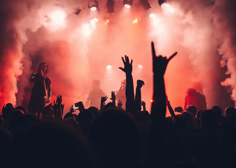 Silhouettes of people at a music festival or concert.